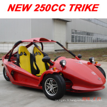 250cc Go Kart Buggy/Go Kart seul cylindre/Pedal Go Kart pour adulte (MC-415)